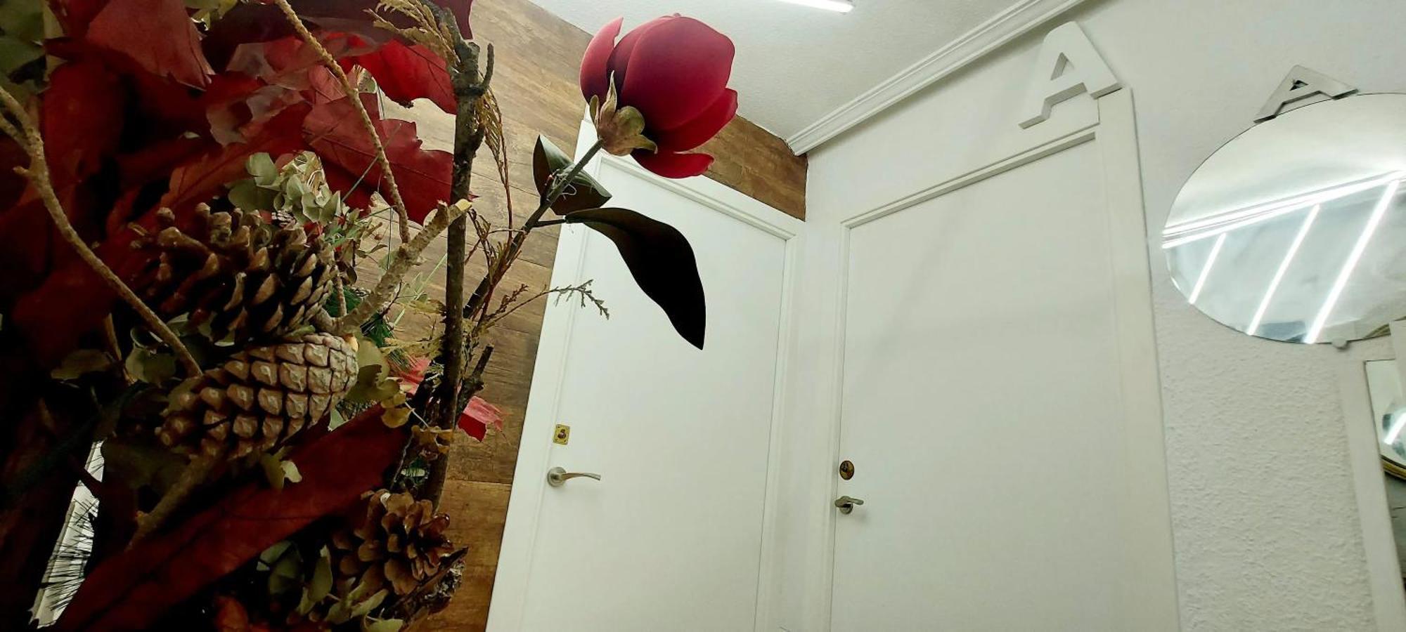 Modern Apartment In Alacant 60M² Wheelchair Accessible 알리칸테 외부 사진